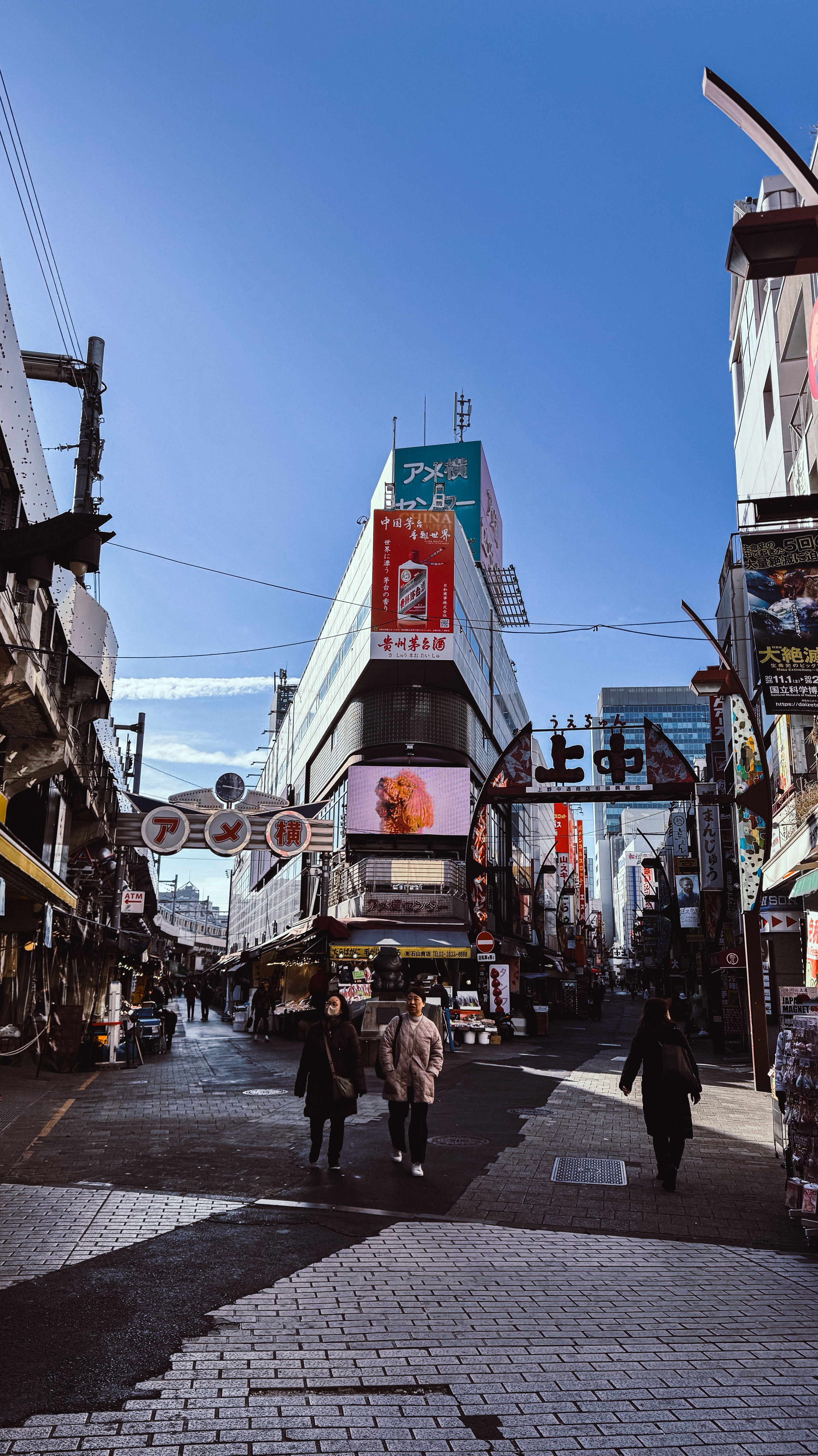 Tokyo shopping district with two alleys
